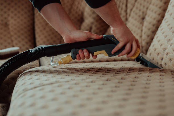 Eco Friendly Upholstery Cleaning Solutions